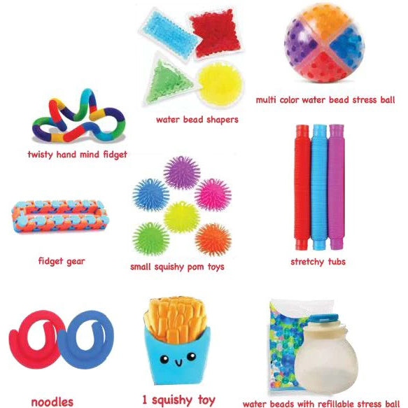 Fidget Sensory Suitcase