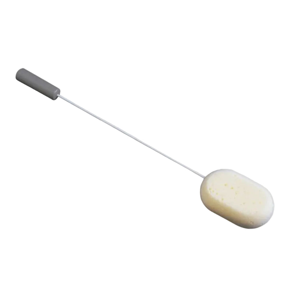 long handled sponge