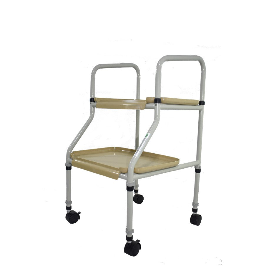 Rehab Trolley