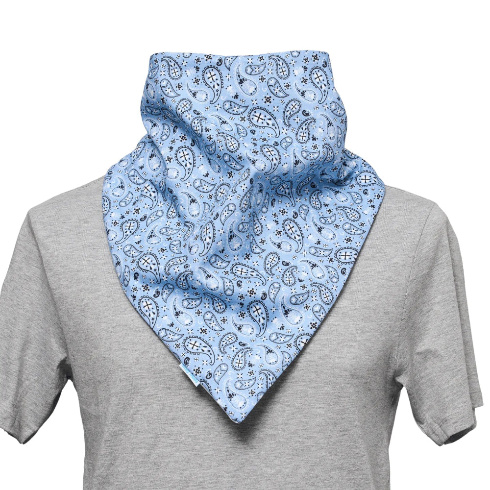 paisley blue bandana