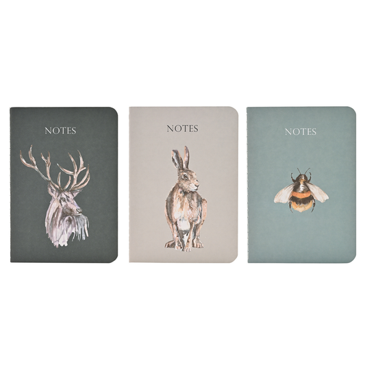 Meg Hawkins A6 Notebooks