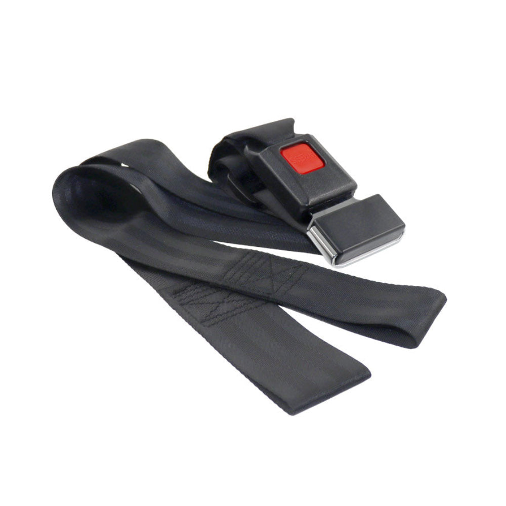 seat belt with mounting hoops