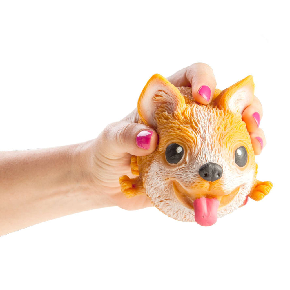 squishy dog in hand