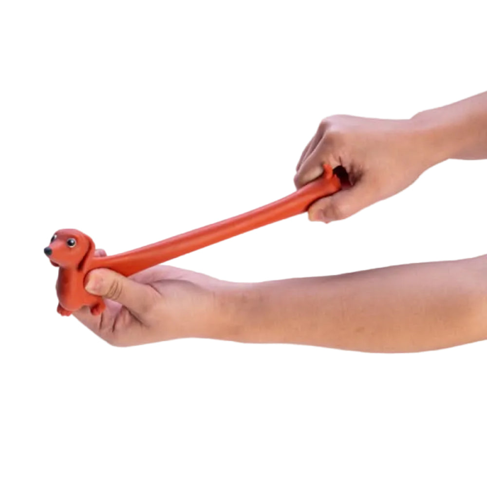 stretchy dachshund