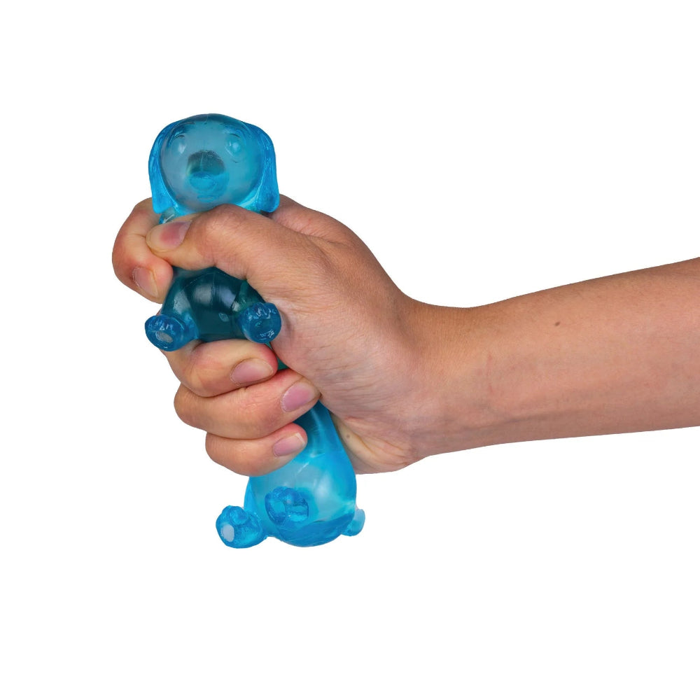 super-squeeze-dachshund